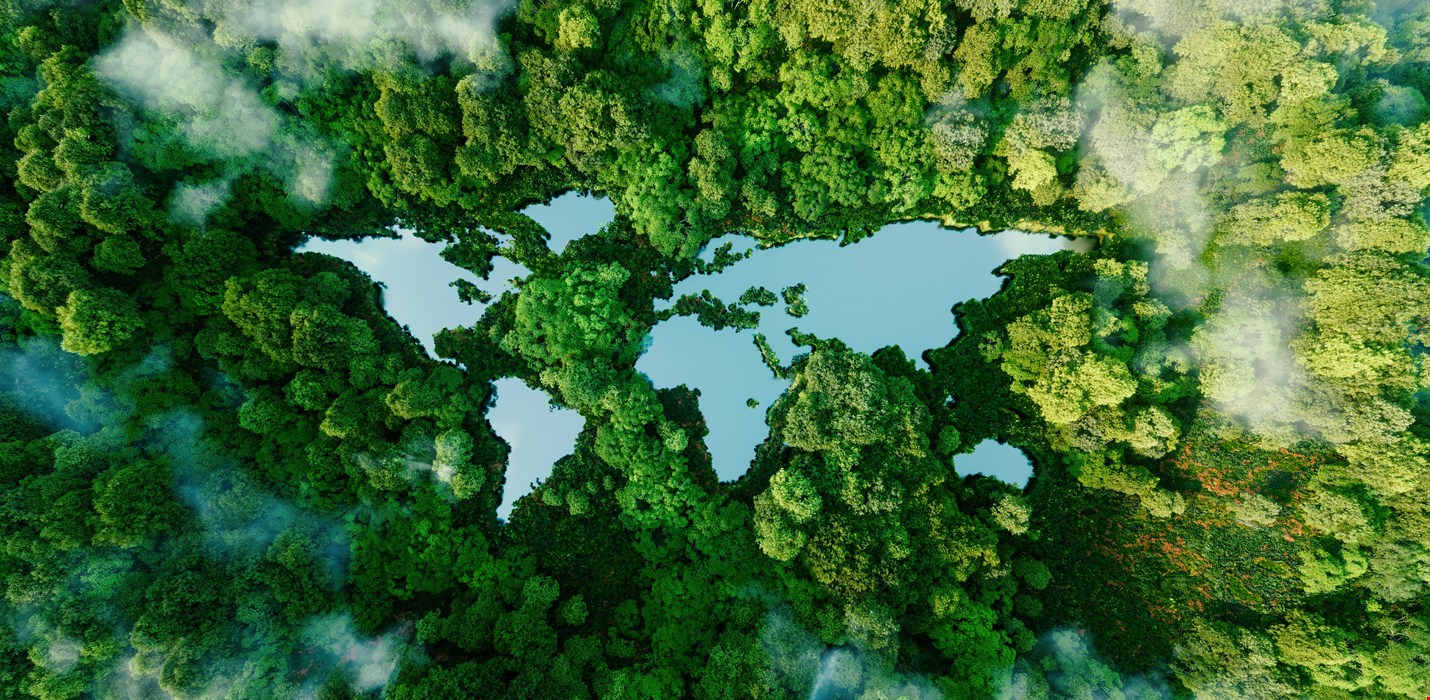 Net Zero Action Day – The environmental work at Polygon