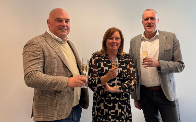 Polygon Be en Respo.png