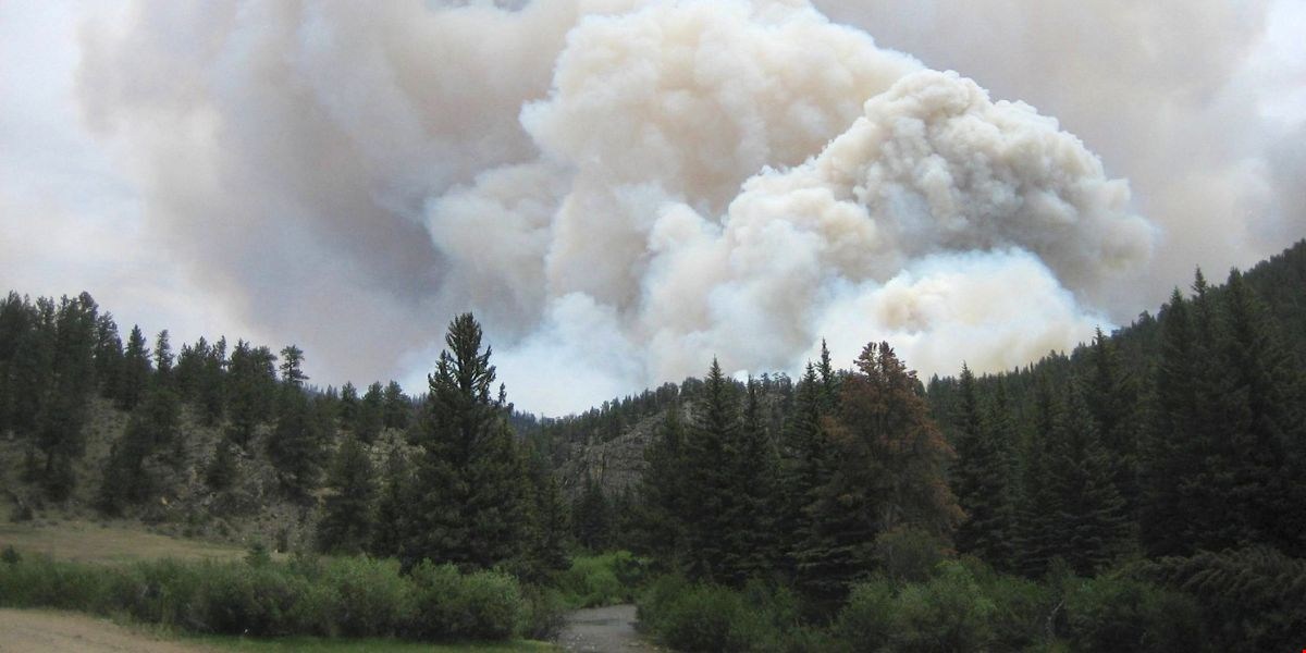 Incendi in Europa: cos’è la nuvola di fuoco e perché fa paura