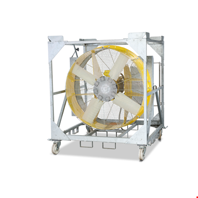 TTW 100.000