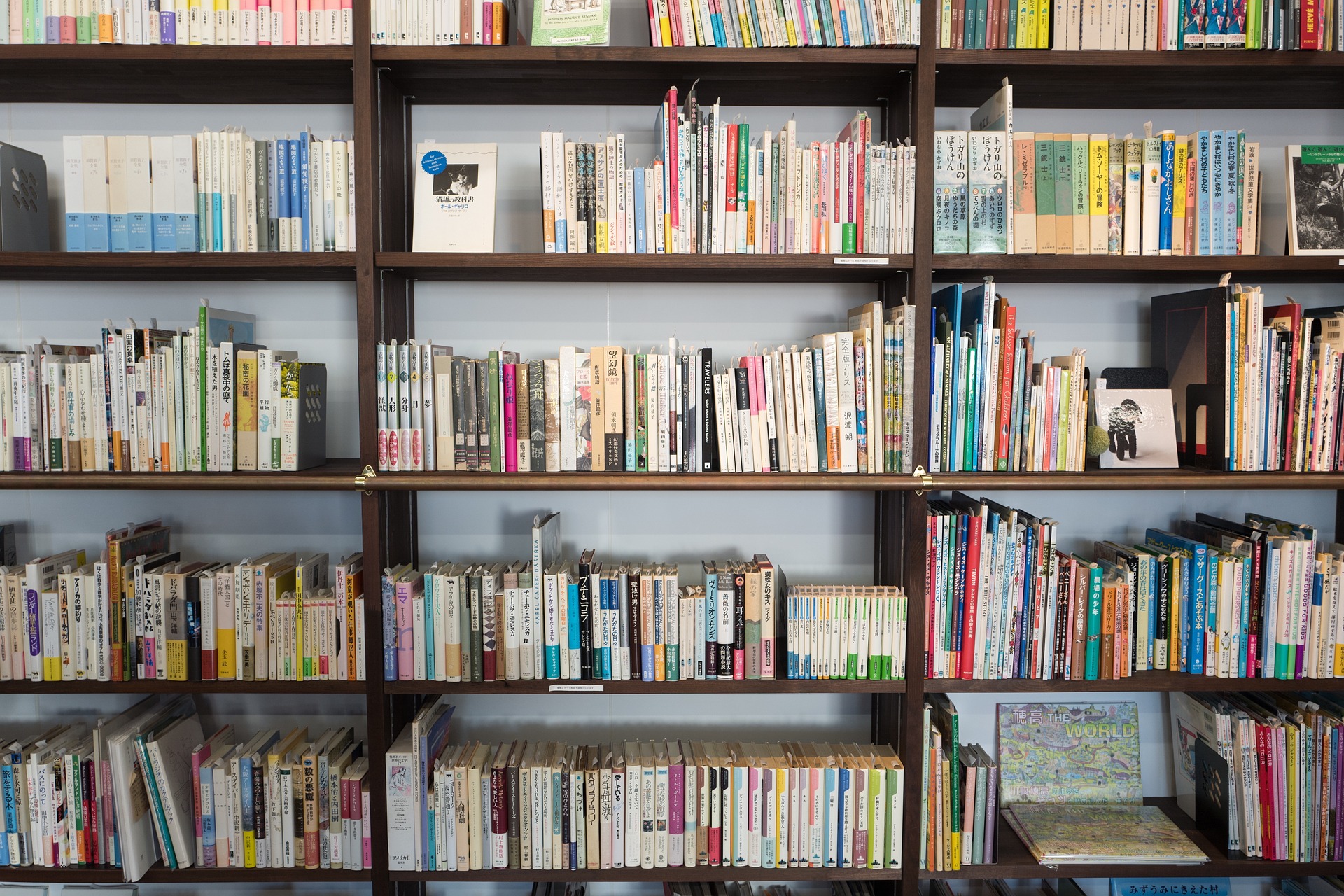 Polygon Has the Expertise to Recover School Materials in the Wake of a Mold Outbreak