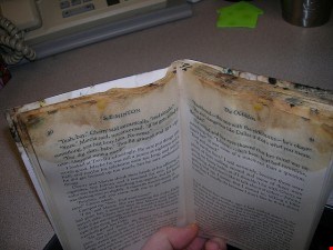 Staying mold-free during the dog days of summer