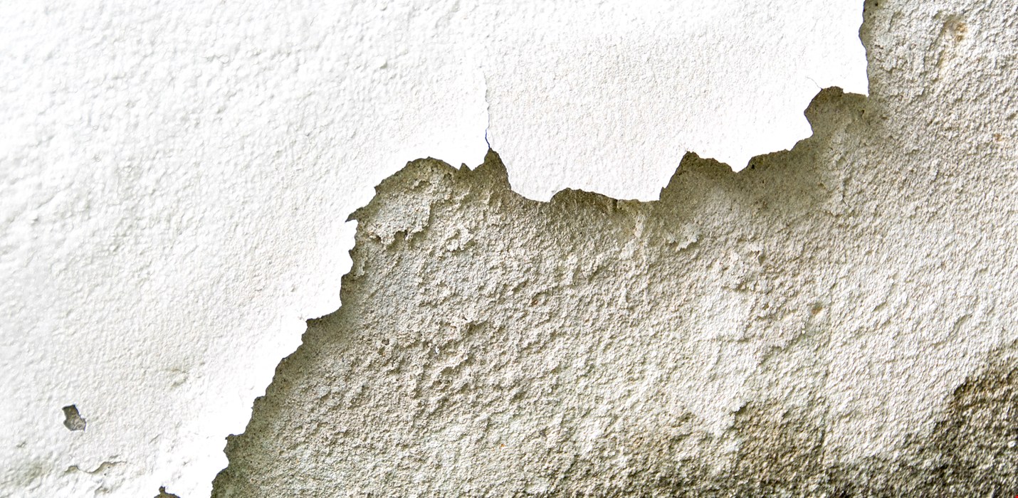 Philadelphia columnist experiences mold damage
