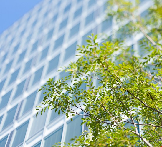 Polygons kärnaffär är hållbar. Vi sparar värden och resurser, vilket minskar både miljöpåverkan och kostnader i samhället.